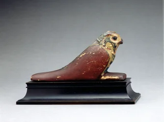 Mumifizierter Falke